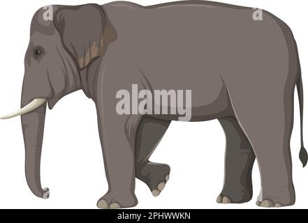 Concetto di anatomia dell'elefante per l'illustrazione di educazione scientifica Illustrazione Vettoriale