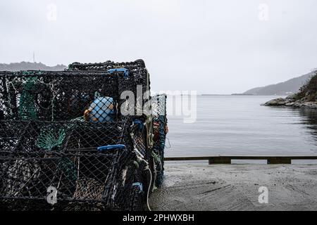 Casse di aragosta su un molo Foto Stock