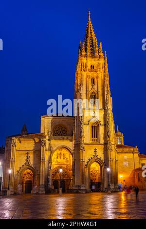 Vista notturna della Cattedrale Metropolitana di San Salvador di Oviedo in Spagna. Foto Stock