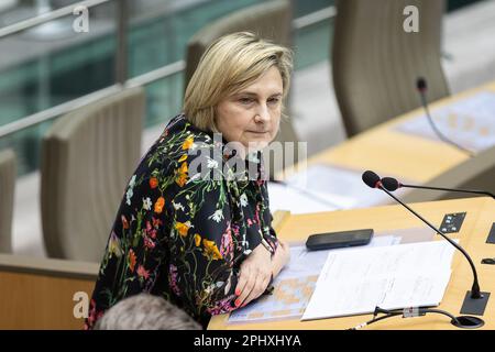 Bruxelles, Belgio. 29th Mar, 2023. Ministro fiammingo del Welfare Hilde Crevits nella foto durante una sessione plenaria del Parlamento fiammingo a Bruxelles, mercoledì 29 marzo 2023. FOTO DI BELGA JAMES ARTHUR GEKIERE Credit: Belga News Agency/Alamy Live News Foto Stock