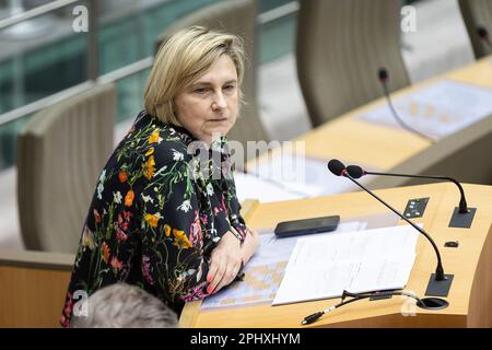 Bruxelles, Belgio. 29th Mar, 2023. Ministro fiammingo del Welfare Hilde Crevits nella foto durante una sessione plenaria del Parlamento fiammingo a Bruxelles, mercoledì 29 marzo 2023. FOTO DI BELGA JAMES ARTHUR GEKIERE Credit: Belga News Agency/Alamy Live News Foto Stock