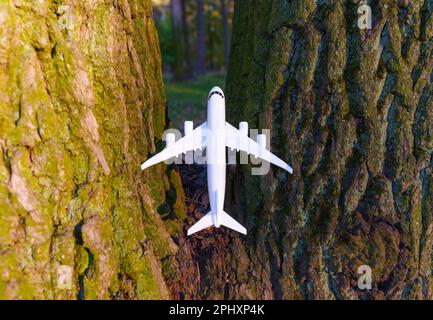 Modello di velivolo bianco in miniatura bloccato tra i tronchi di due alberi. Concetto relativo all'infanzia, al tempo di gioco e alla risoluzione dei problemi. Foto Stock