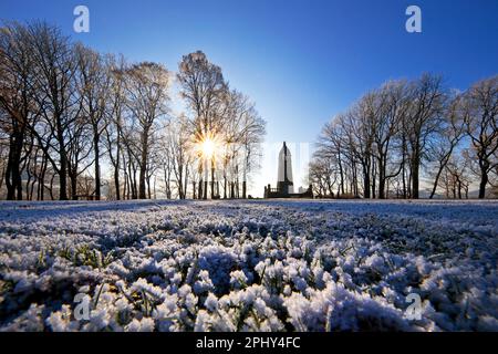 Hoarfrost sul Hohenstein con il Monumento Berger in controluce, Germania, Nord Reno-Westfalia, Ruhr Area, Witten Foto Stock