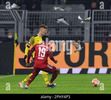 Città di Dortmund, Deutschland. 04th Dec, 2021. Primo: 4th dicembre 2021, calcio, 1st Bundesliga, stagione 2021/2022, BVB, Borussia Dortmund - FC Bayern Monaco piccioni sul campo, scena del gioco MEUNIER contro DAVIES, umorismo, divertente, divertente Credit: dpa/Alamy Live News Foto Stock