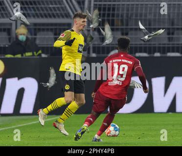 Città di Dortmund, Deutschland. 04th Dec, 2021. Primo: 4th dicembre 2021, calcio, 1st Bundesliga, stagione 2021/2022, BVB, Borussia Dortmund - FC Bayern Monaco piccioni sul campo, scena del gioco MEUNIER contro DAVIES, umorismo, divertente, divertente Credit: dpa/Alamy Live News Foto Stock