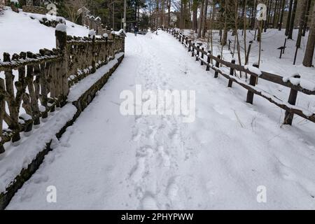 Impronte sulla neve sulla strada in contrapposizione Foto Stock
