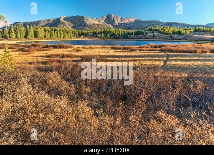 Lago Little Molas, Snowdon Peak in Distance, Needle Mountains, San Juan Mountains, San Juan National Forest, Colorado, Stati Uniti Foto Stock