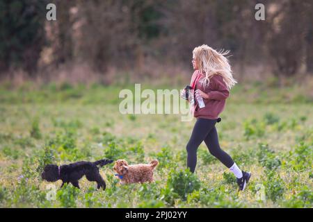 Runner femminile con i suoi due cani fuori nella campagna del Regno Unito, godendo il sole primaverile. Foto Stock