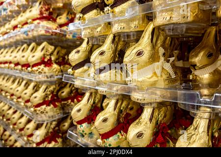 Molti coniglietti pasquali al cioccolato, coniglietti al cioccolato, coniglietti d'oro Lindt, pallet in supermercato, centro commerciale, Germania Foto Stock