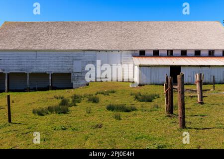 Storico fienile rustico con tetto moderno al Pierce Point Ranch nelle giornate di sole Foto Stock