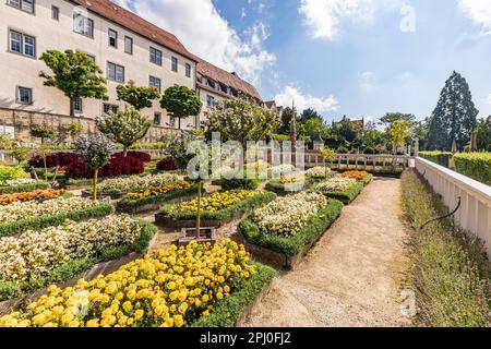 Pomeranzengarten e Castello di Leonberg in estate, Parco, Rinascimento, Leonberg, Baden-Wuerttemberg, Germania Foto Stock