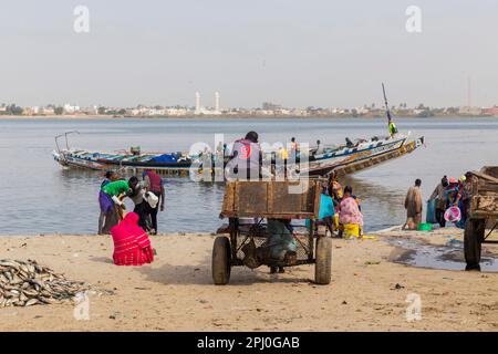 Dakar, Senegal. 18 agosto 2019: Persone che comprano e vendono pesce appena sbarcato sulla spiaggia a Dakar, Senegal, Africa occidentale Foto Stock