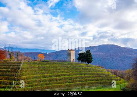 Vigneto a collina d'oro con montagna a Lugano, Ticino in Svizzera. Foto Stock