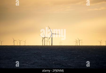 Un parco eolico in mare, con le turbine che si affacciano su un cielo luminoso. Energia verde, generazione di elettricità della costa inglese presso la Galloper Wind Farm Foto Stock