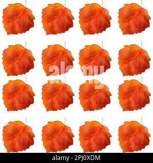foglio autunnale senza cuciture per carta da imballaggio. Illustrazione di una pittura di acquerello delle foglie di autunno Foto Stock