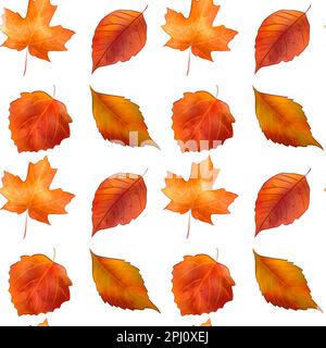 autunno foglie senza cuciture motivo pittura acquerello isolato su sfondo bianco Foto Stock