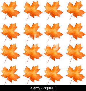 splendido motivo autunnale senza cuciture con coloratissime foglie d'acero isolate su sfondo bianco Foto Stock