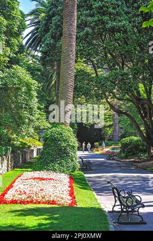 Colorate composizioni floreali, Wellington Botanic Garden, Wellington, Regione di Wellington, Isola del nord, Nuova Zelanda Foto Stock