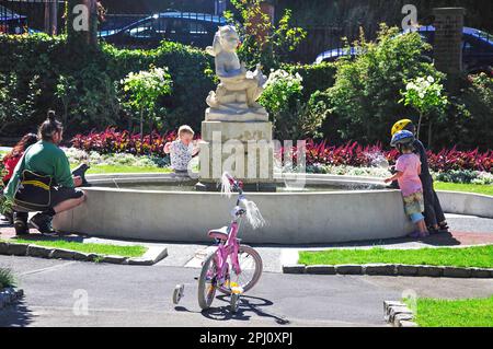 Fontana marciapiede, Wellington Botanic Garden, Wellington, Regione di Wellington, Isola del nord, Nuova Zelanda Foto Stock