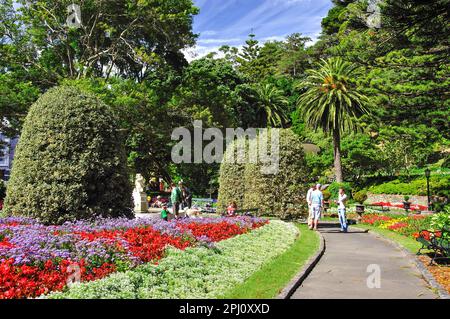 Colorate composizioni floreali, Wellington Botanic Garden, Wellington, Regione di Wellington, Isola del nord, Nuova Zelanda Foto Stock