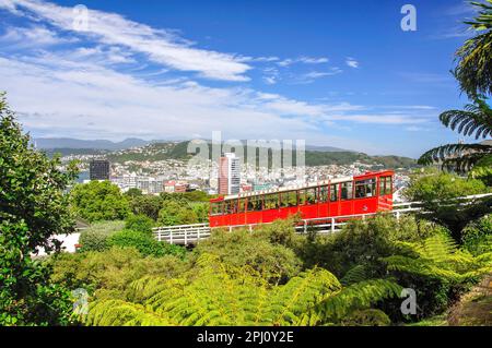 Wellington Funivia, Wellington Botanic Garden, Kelburn, Wellington, Regione di Wellington, Isola del nord, Nuova Zelanda Foto Stock