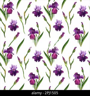 Acquerello senza cuciture: Fiori di iride viola, gemme e foglie verdi. Design floreale con elementi realistici disegnati a mano per tessuti, sfondi, wr Foto Stock