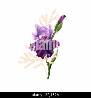 Bouquet di iridi acquerelli con elemento di pianta rosa. Illustrazione disegnata a mano, fiori viola isolati su sfondo bianco. Composizione floreale per gre Foto Stock