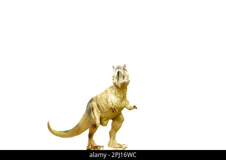 Dinosauro isolato su sfondo bianco Foto Stock