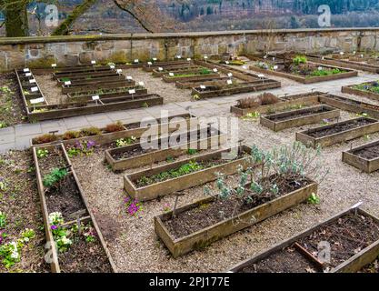 Giardino del monastero con un sacco di piantatrici in legno visto nella Germania meridionale all'inizio della primavera Foto Stock