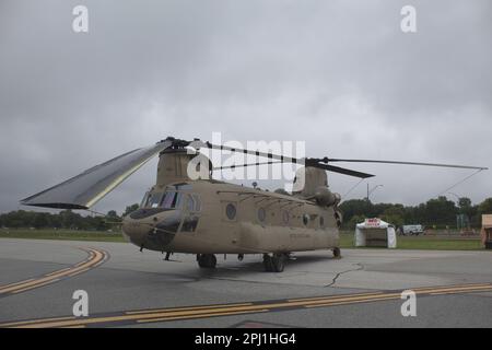 Esercito CH-47 Chinook Foto Stock