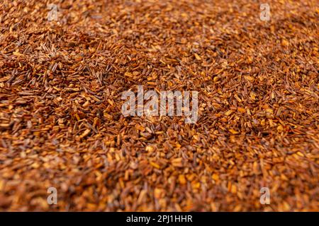 Rooibos tè taglio medio. Rooibos in latino Aspalathus linearis. erba. tè alle erbe. ingrediente alimentare. Foto macro. Profondità di campo bassa. Foto Stock