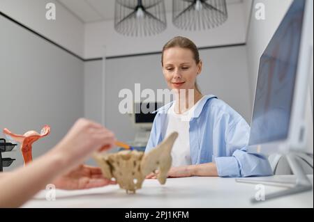 Ginecologo primo piano che mostra la struttura del bacino e del pavimento pelvico alla donna Foto Stock