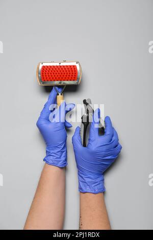 Veterinario in guanti medici con spazzola per animali domestici e tagliacarte su sfondo grigio Foto Stock