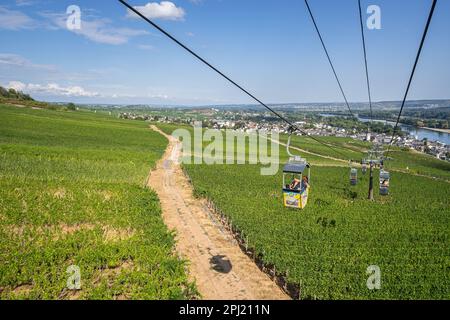 Funivia che si sposta sopra il paesaggio paesaggistico dei vigneti della Valle del Reno, Rüdesheim am Rhein, Germania Foto Stock