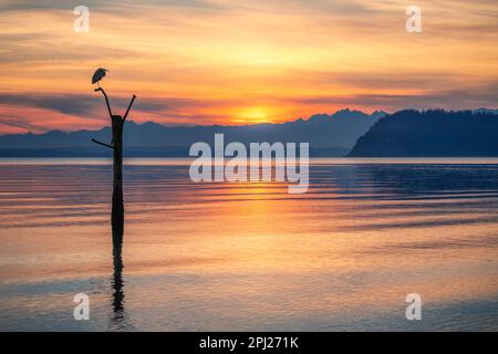 Vista panoramica delle colorate acque oceaniche in inutile Bay con una grande sagome di uccelli Foto Stock