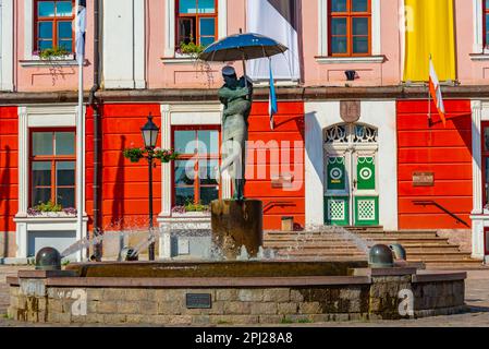 Tartu, Estonia, 27 giugno 2022: Scultura e fontana degli studenti di Kissing a Tartu, Estonia. Foto Stock