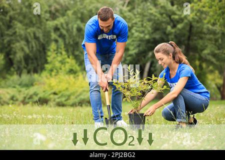 Ridurre le emissioni di CO2. Giovani volontari che piantano l'albero nel parco Foto Stock