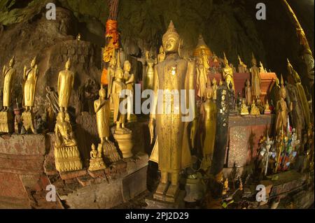 Le grotte di Pak ou o Ting Cave sono importanti per il popolo del Laos. Perché è il tuo tempio sul fiume Mekong con centinaia di immagini di Buddha all'interno. Foto Stock