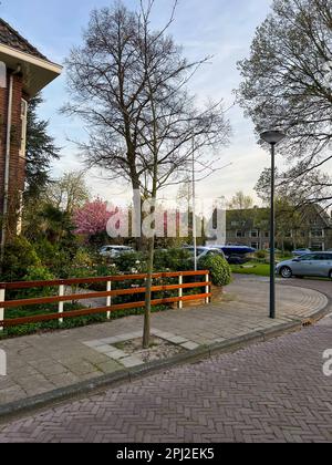 Vista sulla bellissima strada con case e auto parcheggiate Foto Stock