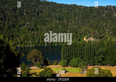 Il bellissimo lago Correntoso, Parco Nazionale di Lanin, Seven Lakes Road, Ruta 40, Provincia di Neuquén, Argentina Foto Stock