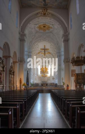 Würzburg, Germania, 12 agosto 2022: Interno della cattedrale di Würzburger in Germania. Foto Stock