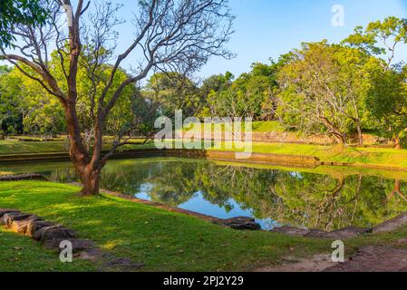 Sigiriya, Sri Lanka, 5 febbraio 2022: Giardini della fortezza rocciosa di Sigiriya in Sri Lanka. Foto Stock