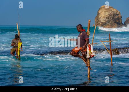 Koggala, Sri Lanka, 22 gennaio 2022: Pescatori tradizionali di palafitte a Koggala, Sri Lanka. Foto Stock