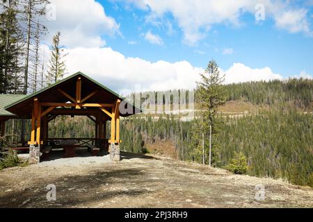 Gazebo in legno con tavolo e panchine vicino alla foresta in montagna. Spazio per il testo Foto Stock