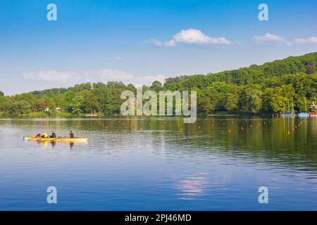 Rowboat alla regata sul lago Baldeney di Essen, Germania Foto Stock