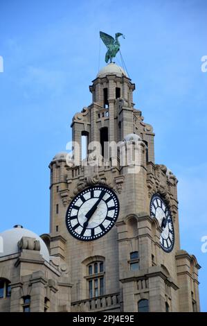 Inghilterra, Merseyside, Liverpool: Due degli orchietti di 25 piedi di diametro sul Royal Liver Building con uno dei due mitici Liver Birds, a sua volta 1 Foto Stock