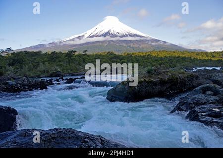 Cile. Puerto Varas: Vicente Perez Rosales Parco Nazionale: Le cascate del fiume Petrohue, con vulcano innevato. Osorno (2,652 m.), nel dorso Foto Stock