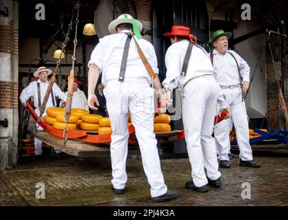 ALKMAAR - Paesi Bassi, 31/03/2023, il formaggio viene pesato durante l'apertura del primo mercato del formaggio della stagione presso il Waagplein. ANP KOEN VAN WEEL netherlands out - belgium out Foto Stock