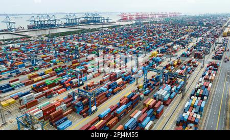 SHANGHAI, CINA - 31 MARZO 2023 - la fotografia aerea mostra le operazioni di movimentazione container al porto di Waigaoqiao a Shanghai, Cina orientale, 31 marzo 2023. Da Foto Stock