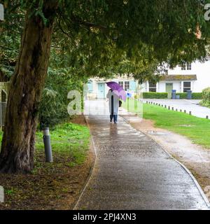 Salisbury, Wiltshire, Regno Unito, 31st marzo 2023: Uomo in impermeabile con ombrello viola in tempo umido e ventoso l'ultimo giorno di marzo. Credit: Paul Biggins/Alamy Live News Foto Stock